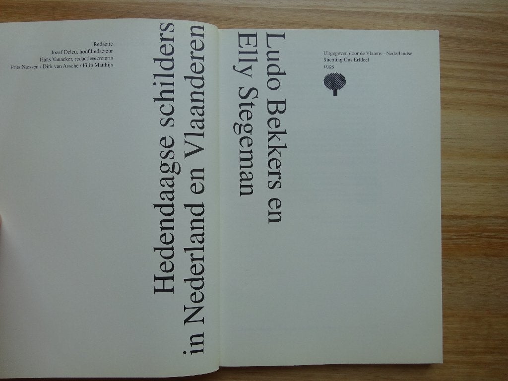 Hedendaagse schilders in Nederland en Vlaanderen 1995, Ophalen of Verzenden, Gelezen, Schilder- en Tekenkunst