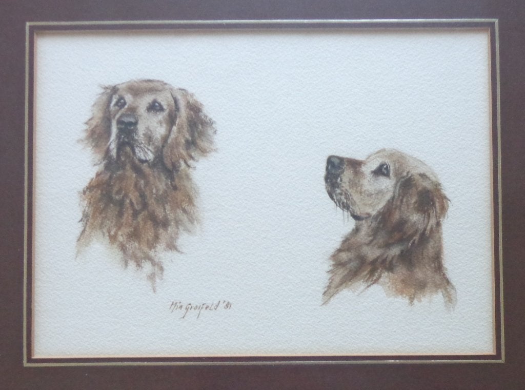 MIA GROSFELD / GOLDEN RETRIEVER / ORIGINEEL / 41x49cm KADER, Gesigneerd, Expressionistisch, Dieren, Ophalen of Verzenden