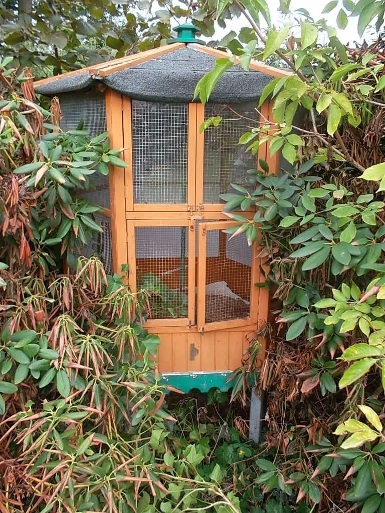 vogelkooi, Dieren en Toebehoren, Ophalen, Vogelkooi
