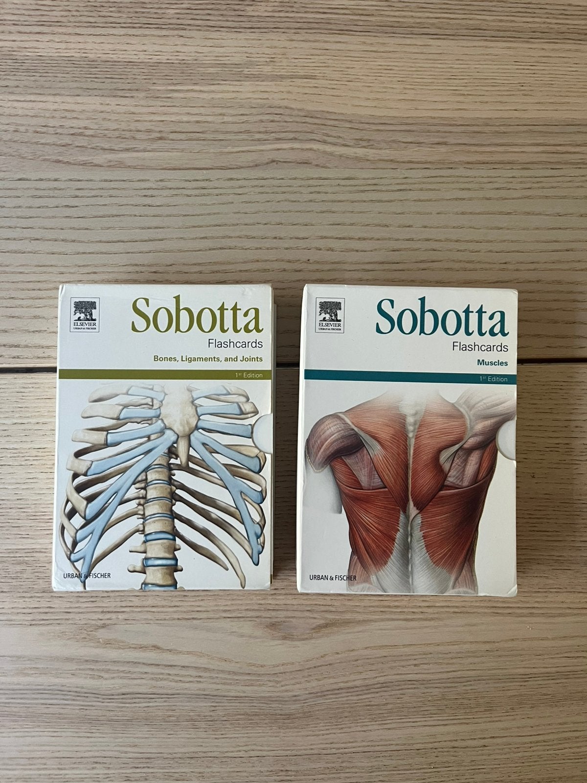 Sobotta flashcards, Boeken, Ophalen of Verzenden, Zo goed als nieuw