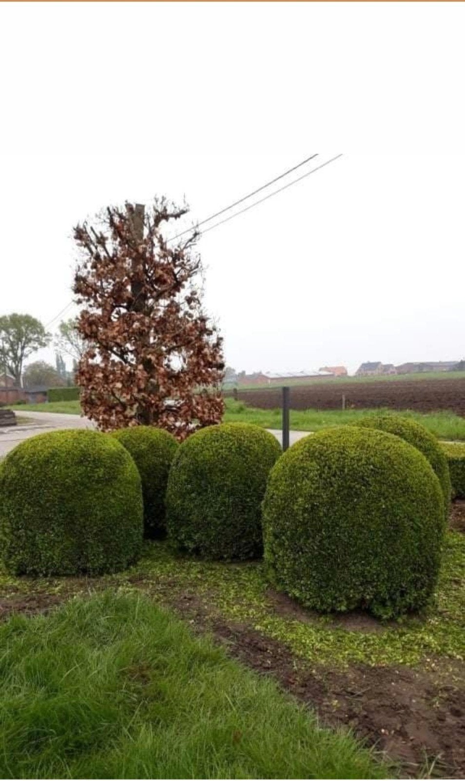 Tuinman/ tuinhulp, Ophalen