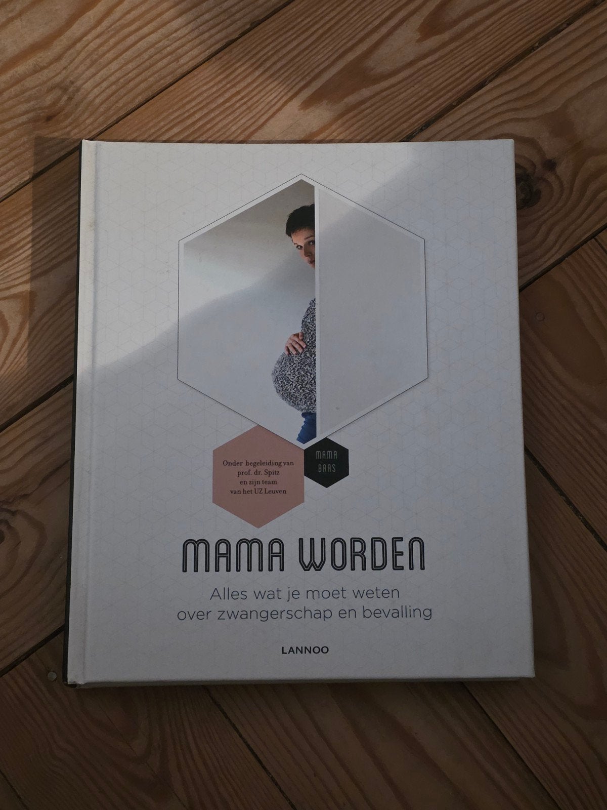 Boek 'Mama worden' van Mama Baas, Boeken, Zwangerschap en Opvoeding, Mama baas, Zwangerschap en Bevalling, Ophalen, Gelezen