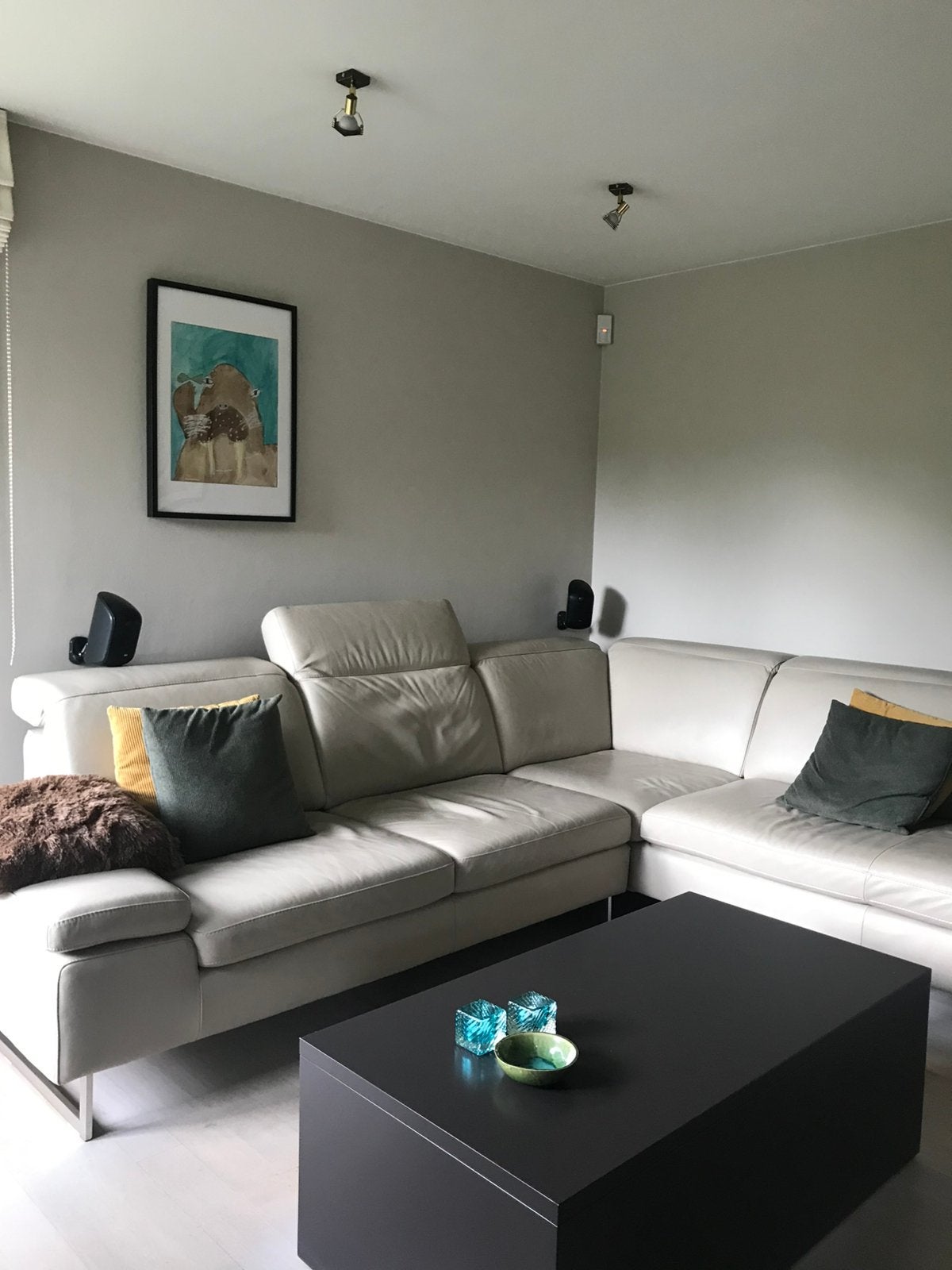 Salon, Ophalen, Gebruikt, Leer, Moderne look