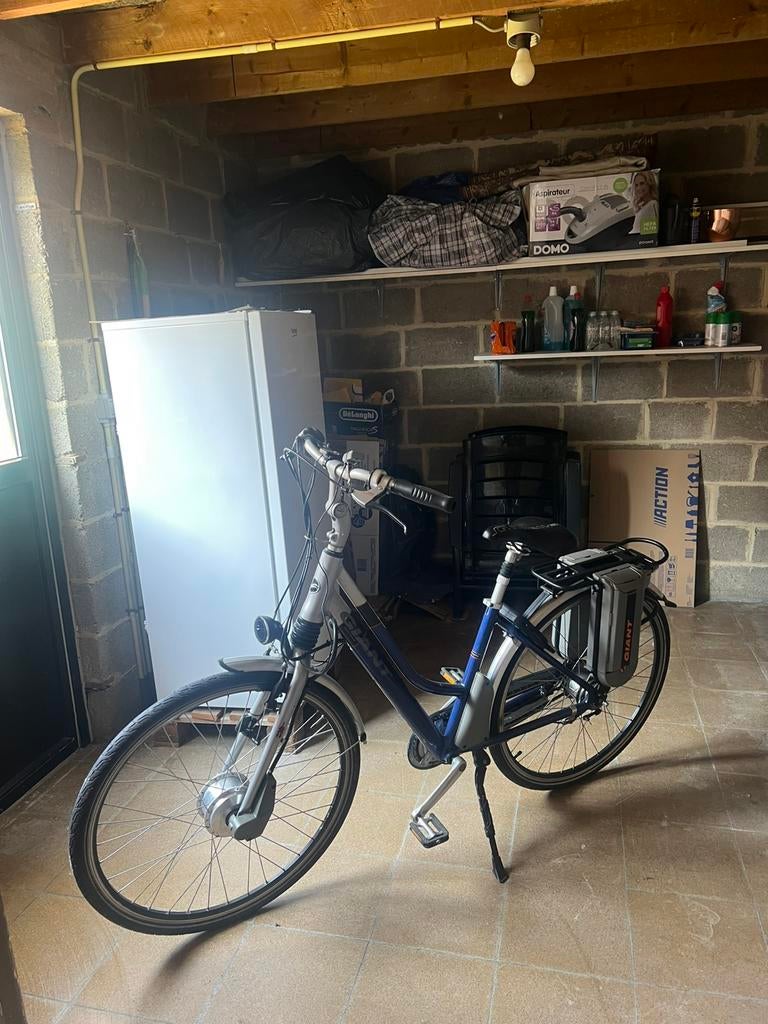 Giant elektrische fiets double battery, Fietsen en Brommers, Ophalen, Zo goed als nieuw, Giant
