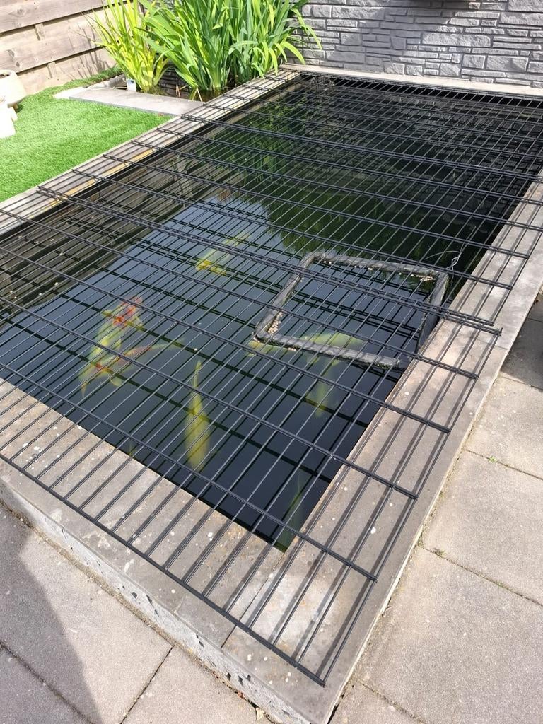 Koi's, Tuin en Terras, Ophalen