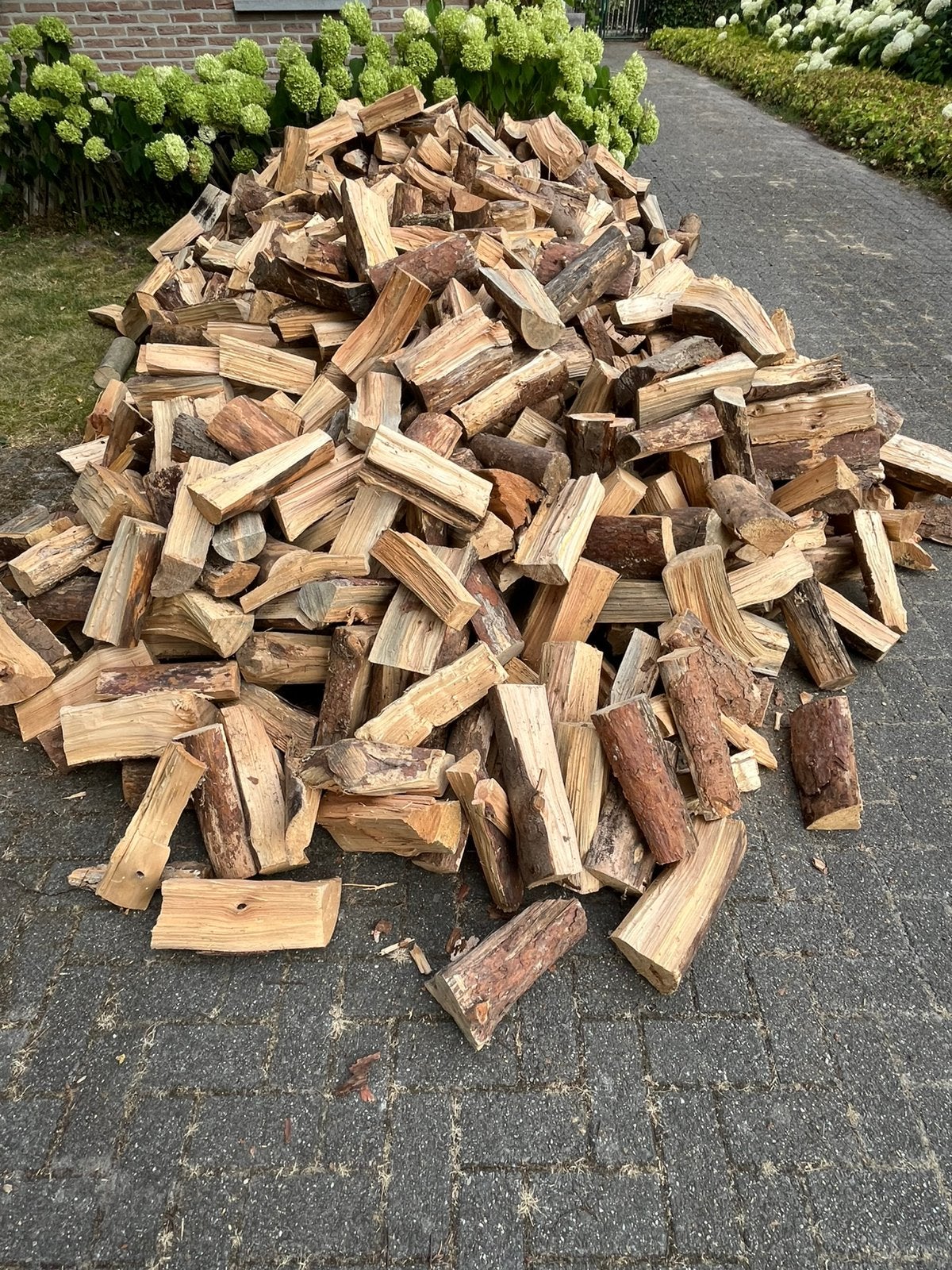 Brandhout droge MAST (Den), 3 à 6 m³, Enlèvement, Troncs d'arbres