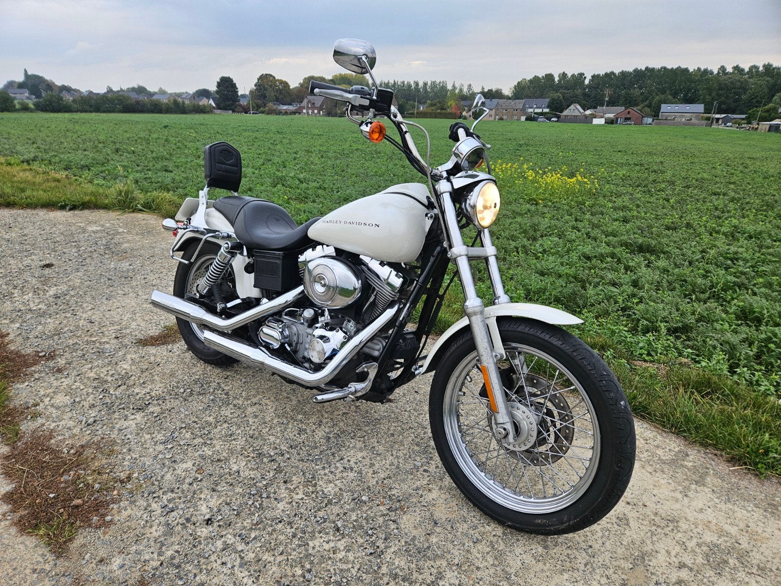 Harley Davidson dyna 88ci, Particulier