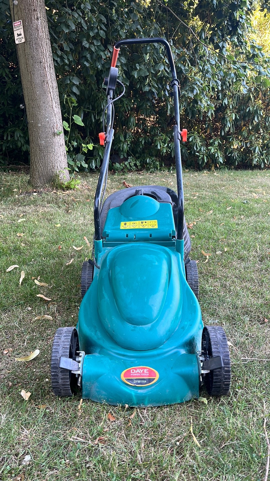 Tondeuse à gazon électrique DAYE Power Tools, Jardin & Terrasse, Tondeuses à gazon, Enlèvement, Utilisé, Tondeuses à gazon électriques