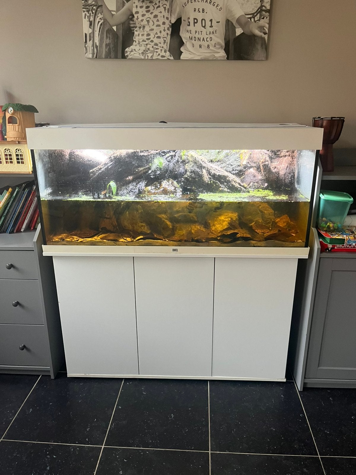 Aquarium/Paludarium, Dieren en Toebehoren, Ophalen, Overige typen, Nieuw, Juwel