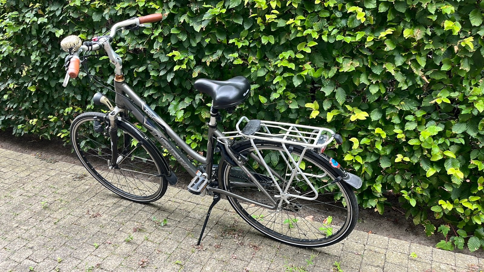 Trek damesfiets, Fietsen en Brommers, Fietsen | Dames | Damesfietsen, Ophalen, Zo goed als nieuw