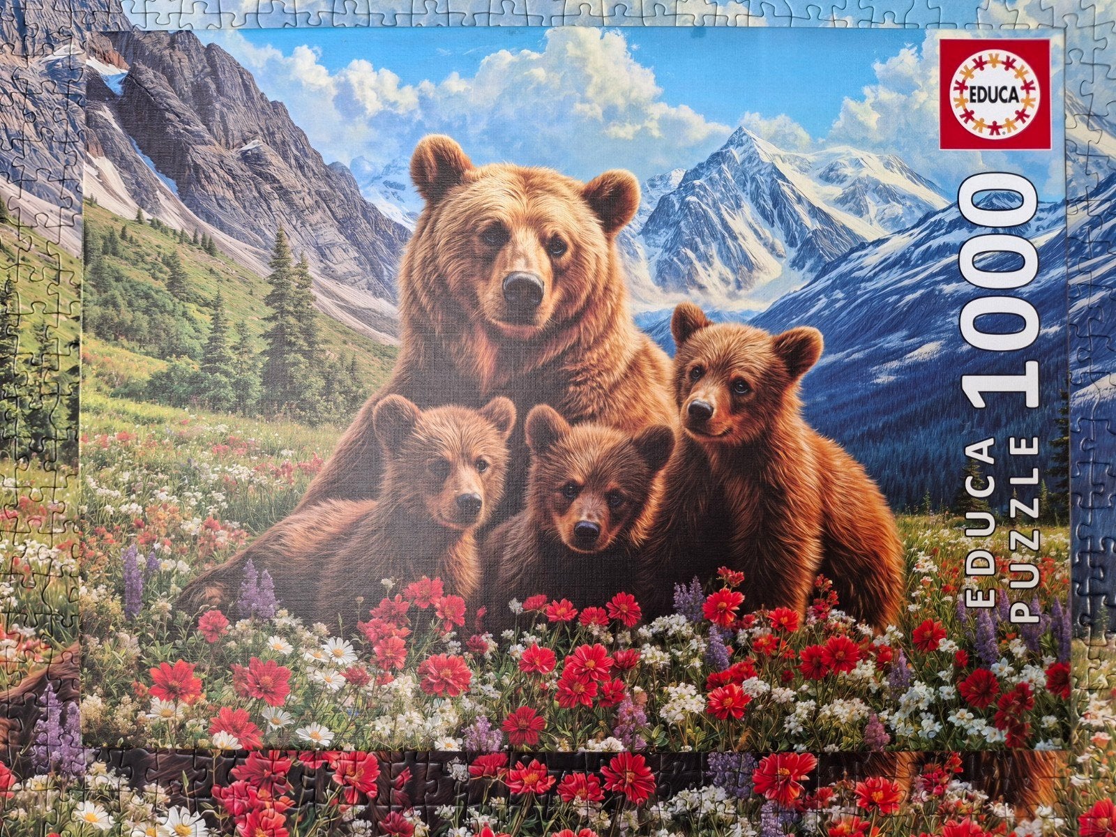 Puzzel Educa - 1000 stukjes., Hobby en Vrije tijd, Denksport en Puzzels, Ophalen