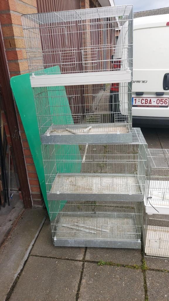 Draadkooien stokjes drink bakjes, Enlèvement