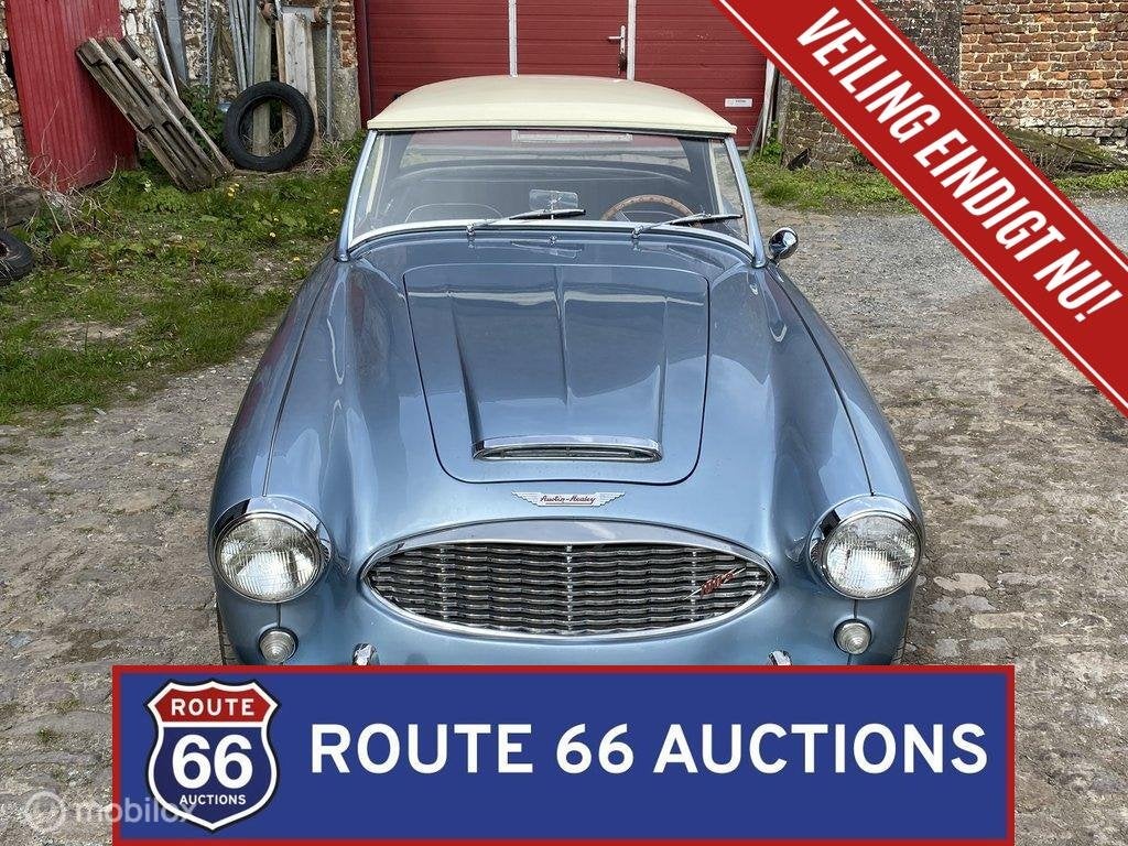 Austin-Healey 100-6 BN4 | 1957 | Route 66 Auctions, Autos, Oldtimers & Ancêtres, Entreprise, Boîte manuelle, Autre carrosserie
