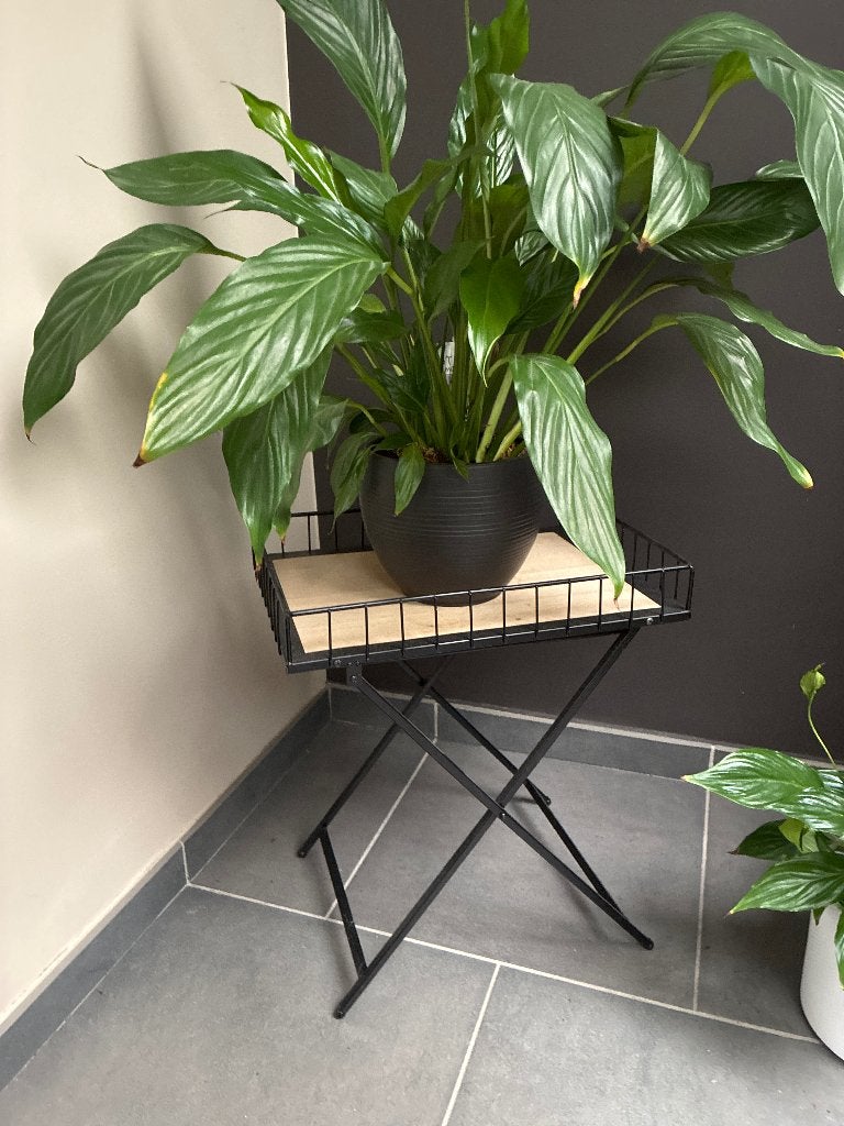Plantentafeltje, Ophalen, Gebruikt, Rechthoekig, 45 tot 60 cm