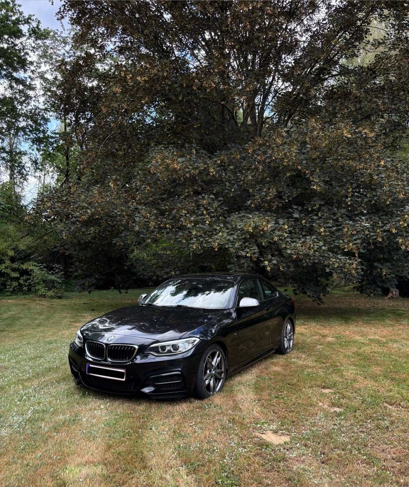 BMW M235i, Cuir, 1445 kg, Noir, 2 portes