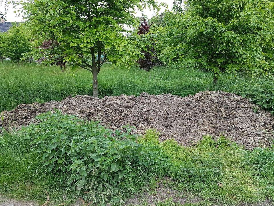 Gratis zuivere paardenmest - Borsbeek / Wommelgem, Enlèvement, Fumier