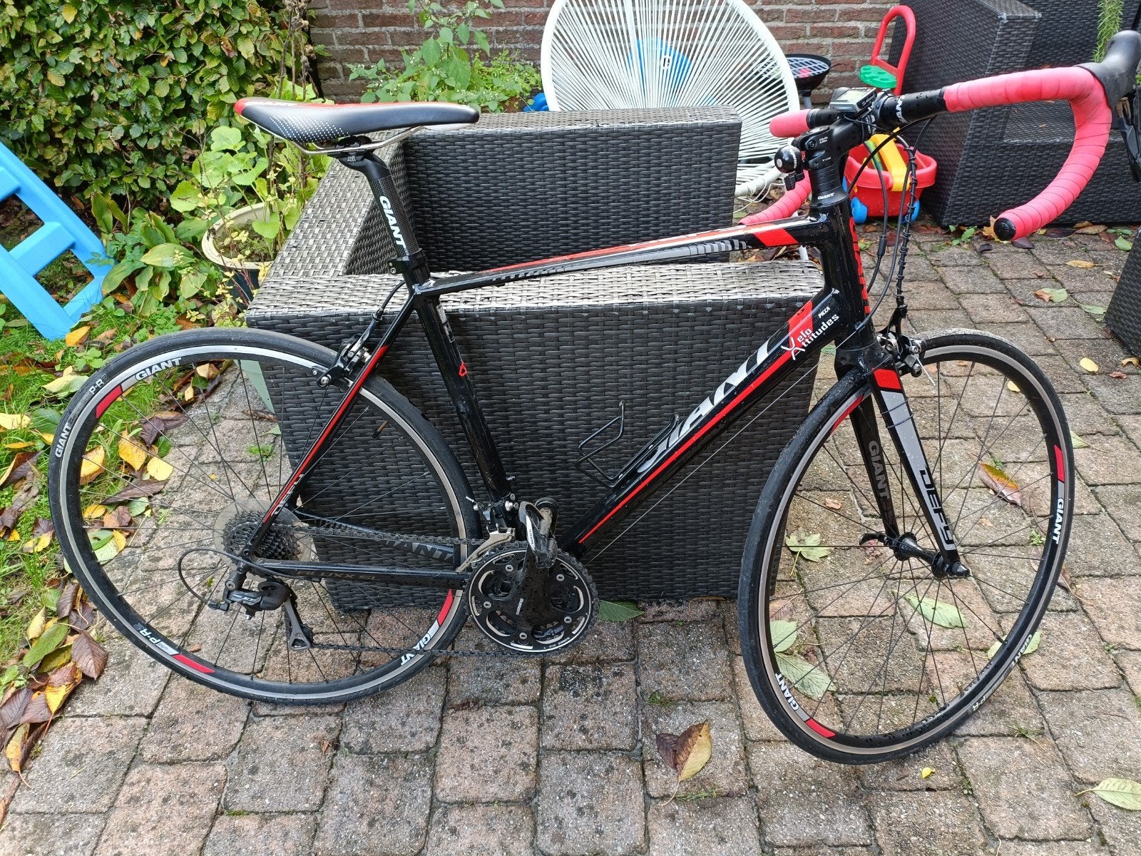 koersfiets, Ophalen, Schijfrem, Liv Giant, Jaren '60 of nieuwer