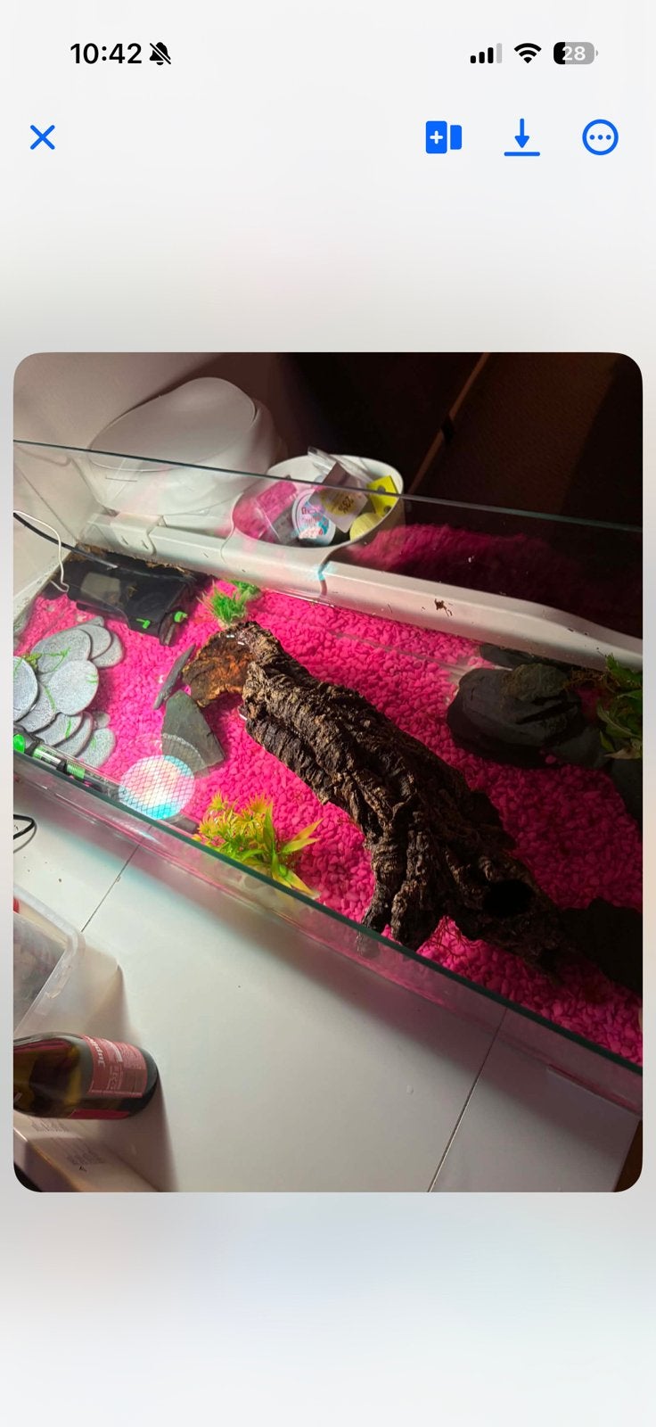 Waterschildpadjes, Informatique & Logiciels, Tapis de souris, Enlèvement, Comme neuf