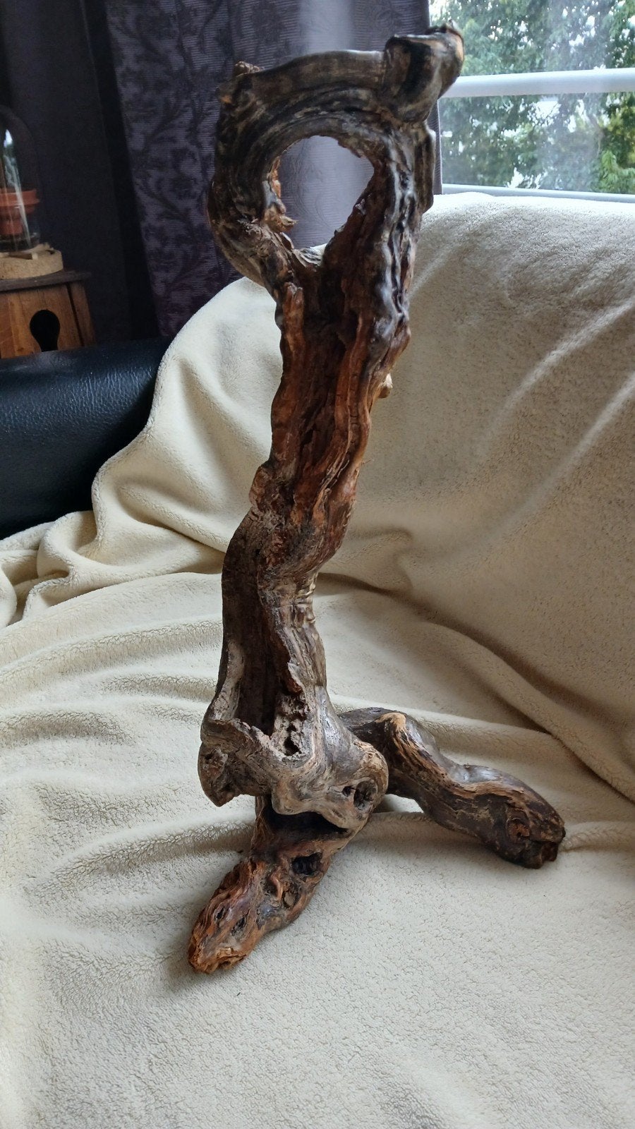branche de raisin décorative, terrarium, Animaux & Accessoires, Reptiles & Amphibiens | Accessoires, Enlèvement ou Envoi