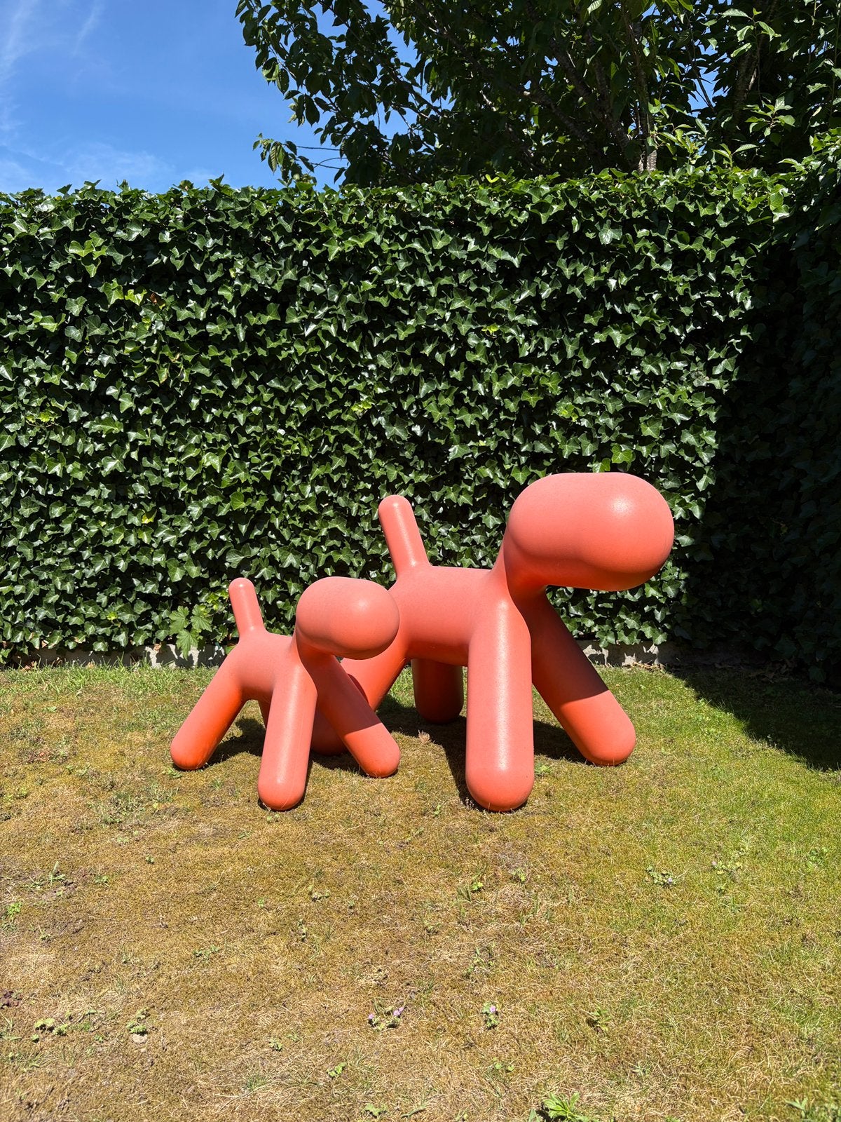 Magis Me To Puppy designhonden, Ophalen, Nieuw