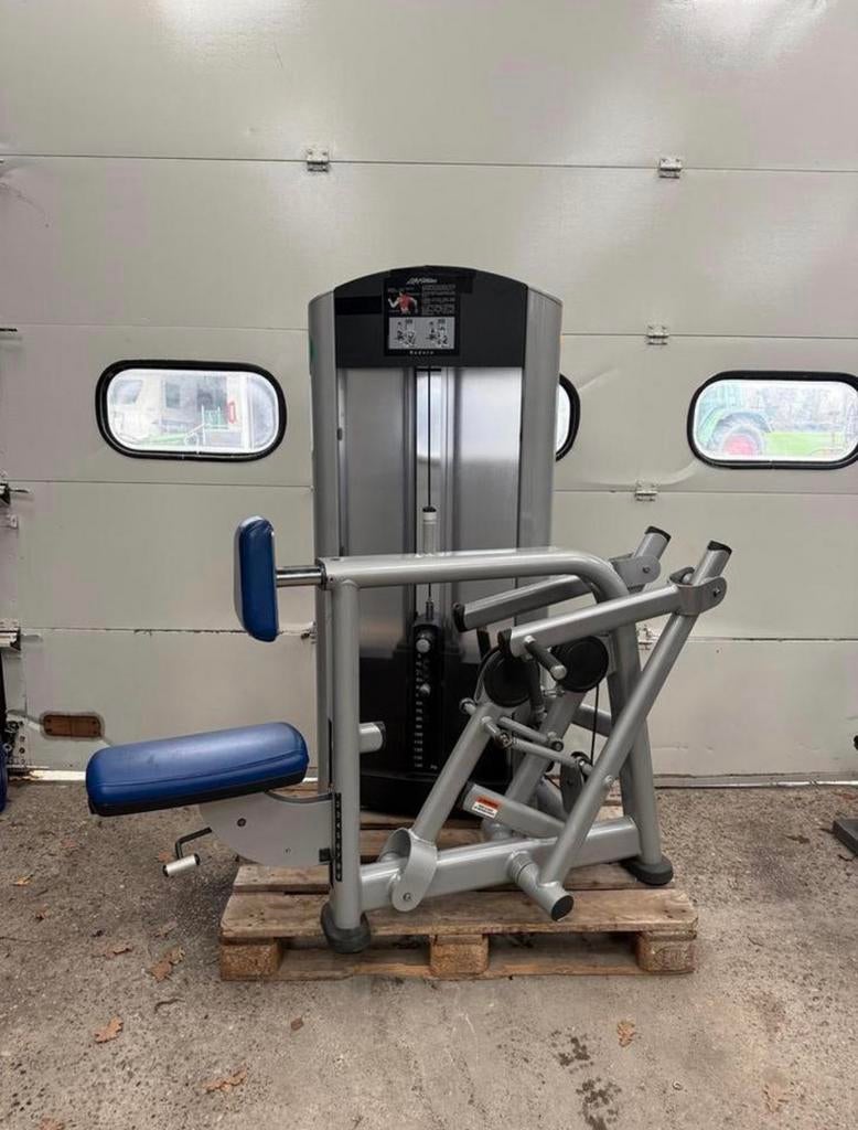 Life Fitness Row / Rear Deltoid / rower / seated row, Ophalen, Gebruikt, Benen, Overige typen