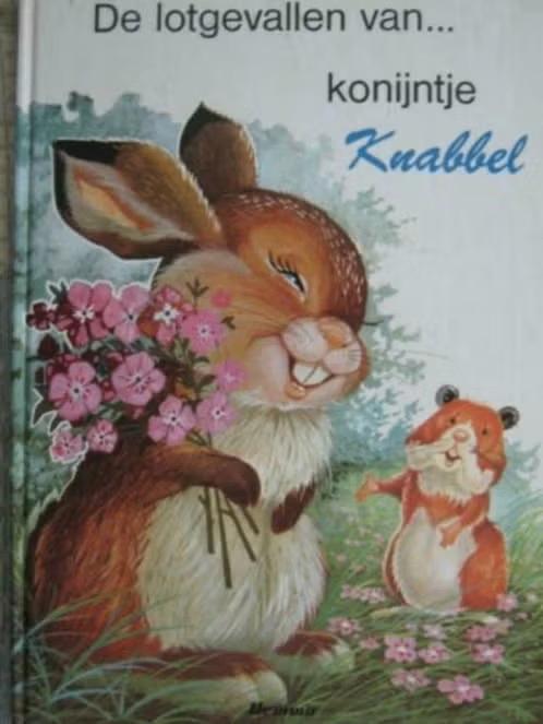 De lotgevallen van Konijntje Knabbel /  Beertje Pam-Pam, Ophalen of Verzenden, Gelezen