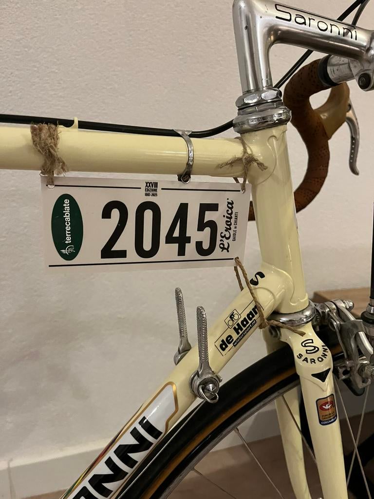 Colnago Saronni Campa Superrecord retro vintage staal panto, Vélos & Vélomoteurs, Vélos | Vélos de course, Comme neuf, Acier, Enlèvement