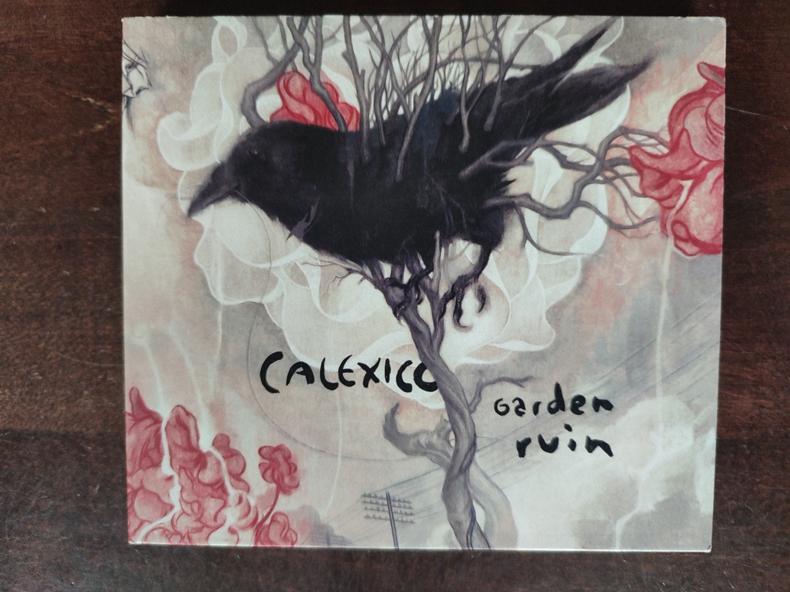CD + DVD Deluxe edition : CALEXICO - GARDEN RUIN, Cd's en Dvd's, Cd's | Pop, Ophalen of Verzenden