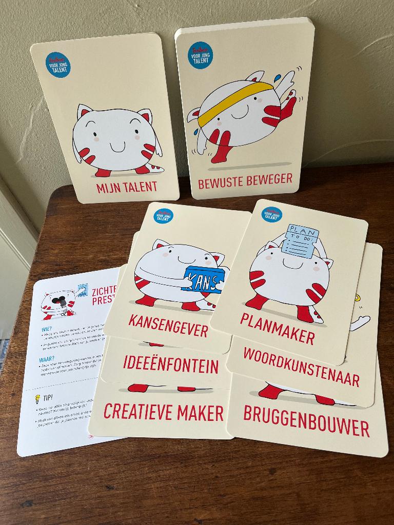 Talentenkaartenset junior groot, Livres, Conseil, Aide & Formation, Enlèvement, Neuf