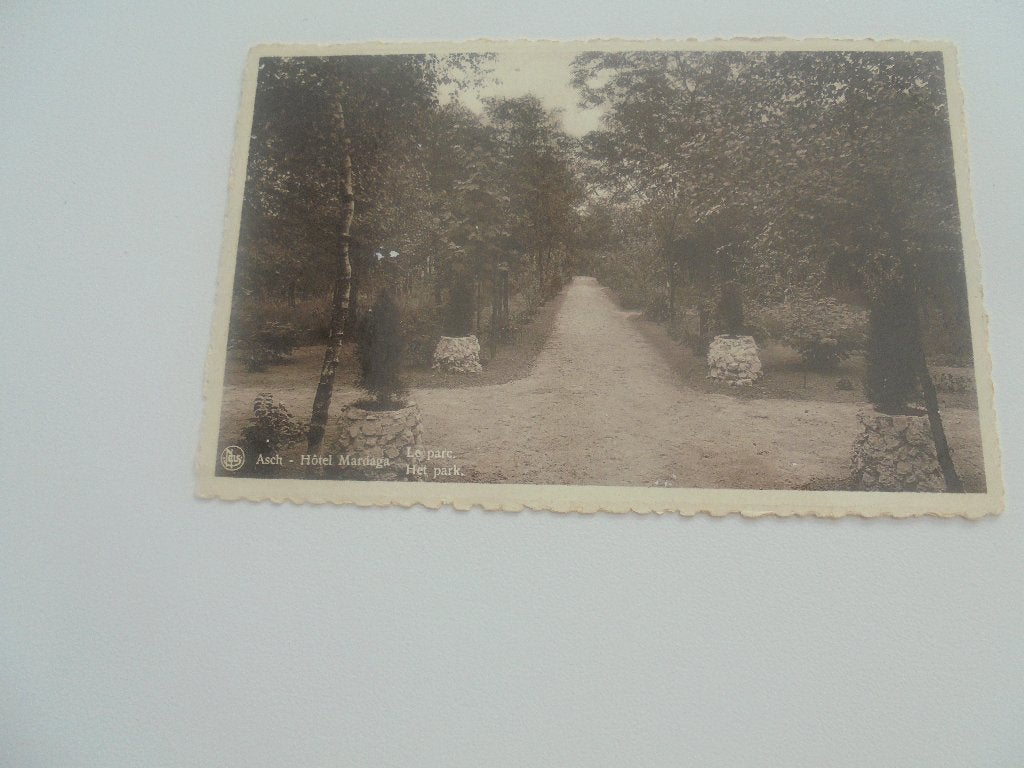 asch- hotel mardaga - het park, Ophalen of Verzenden, 1940 tot 1960, Ongelopen, Limburg