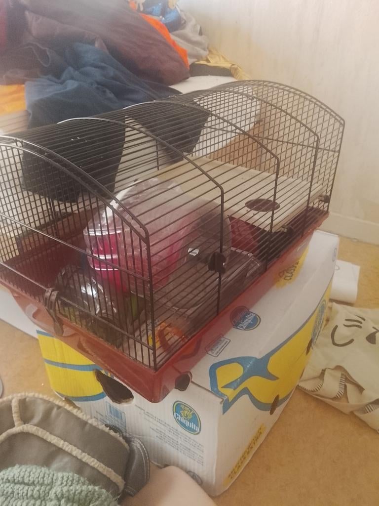 Hamsters kooi met toebehoren spulletjes, Enlèvement ou Envoi, Cage, Hamster