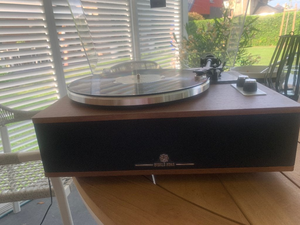 Top platenspeler met geïntegreerde luidspreker + aantal Lp's, Audio, Tv en Foto, Platenspelers, Ophalen, Platenspeler