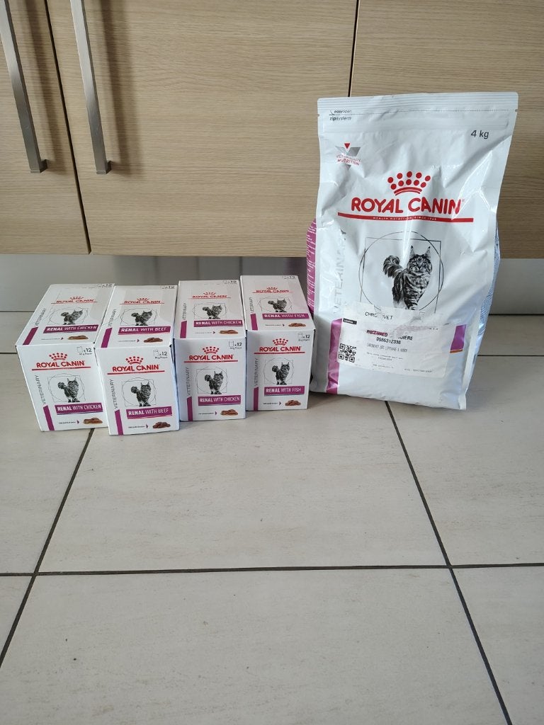 Royal Canin nourriture rénal (pâtée et croquettes), Dieren en Toebehoren, Ophalen, Kat