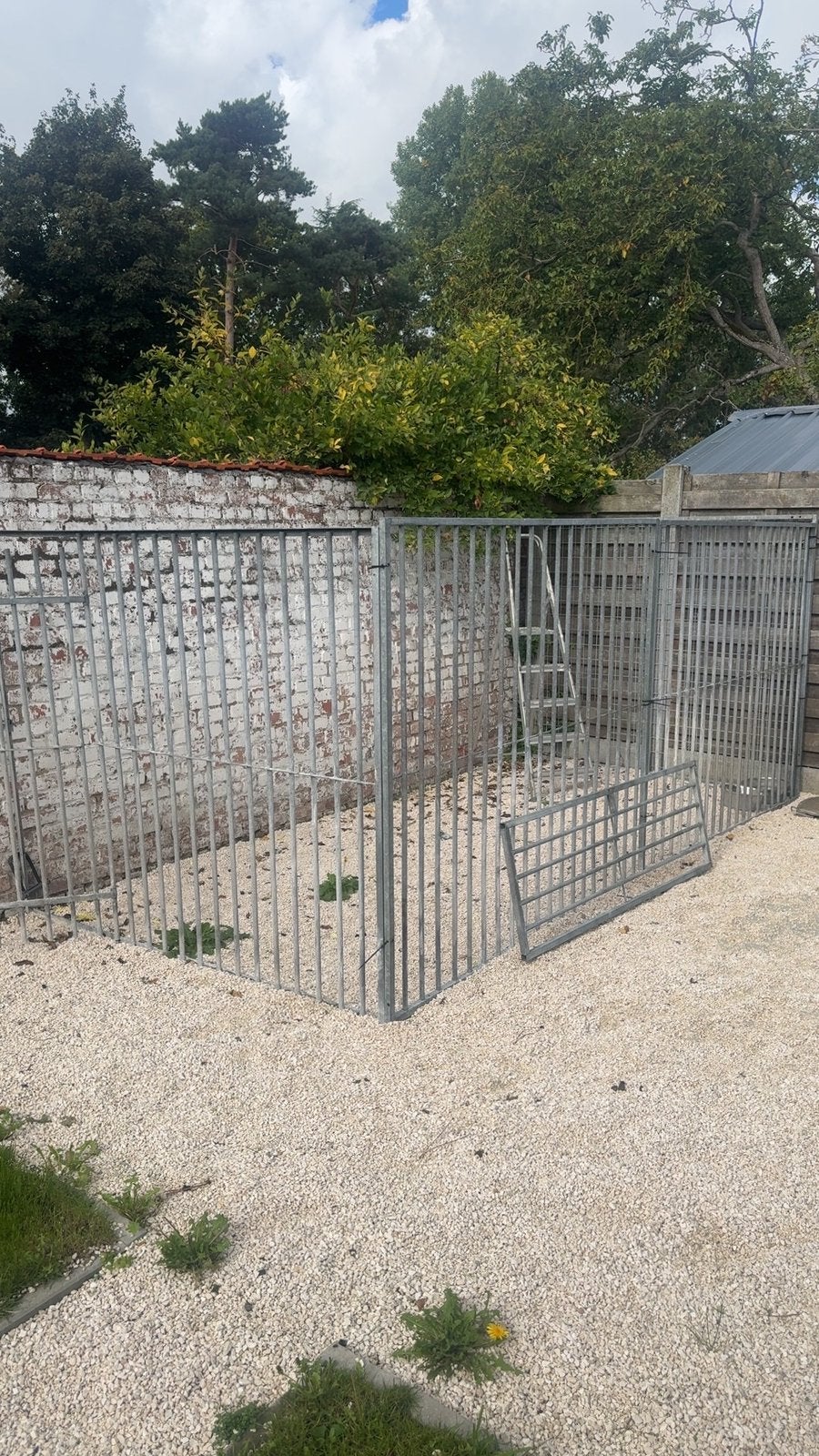 Hondenren, Dieren en Toebehoren, Ophalen