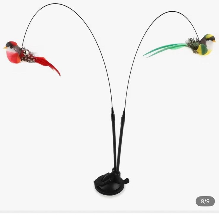 Katten speelstok, Envoi, Neuf
