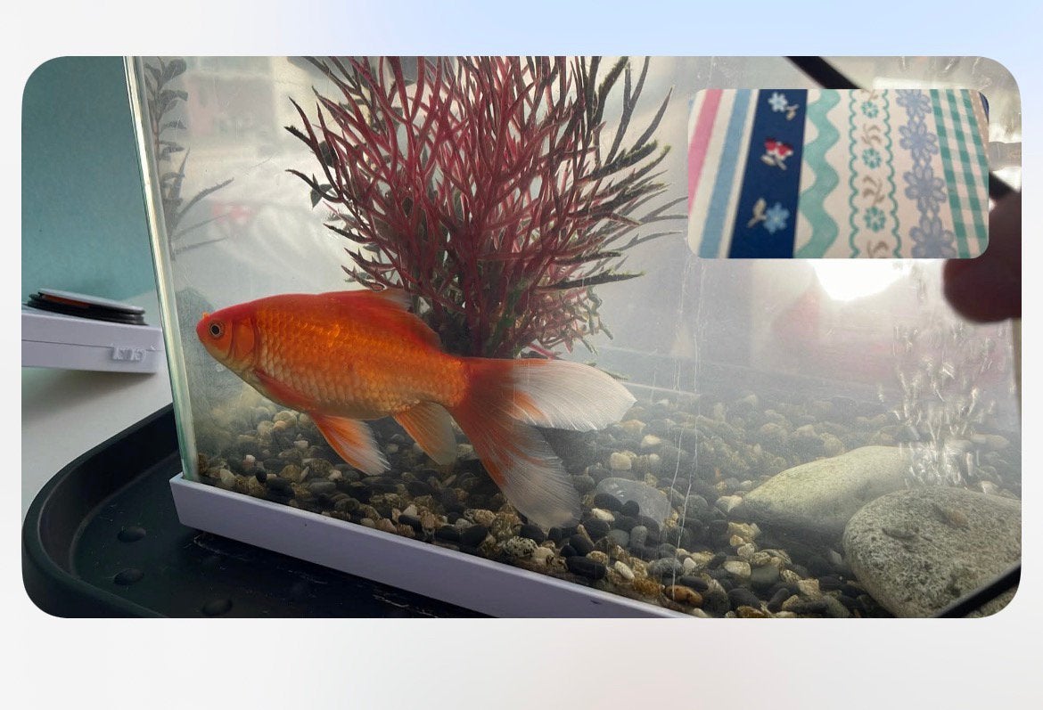 Goudvis +-15cm gratis, Telecommunicatie, Ophalen, Zo goed als nieuw