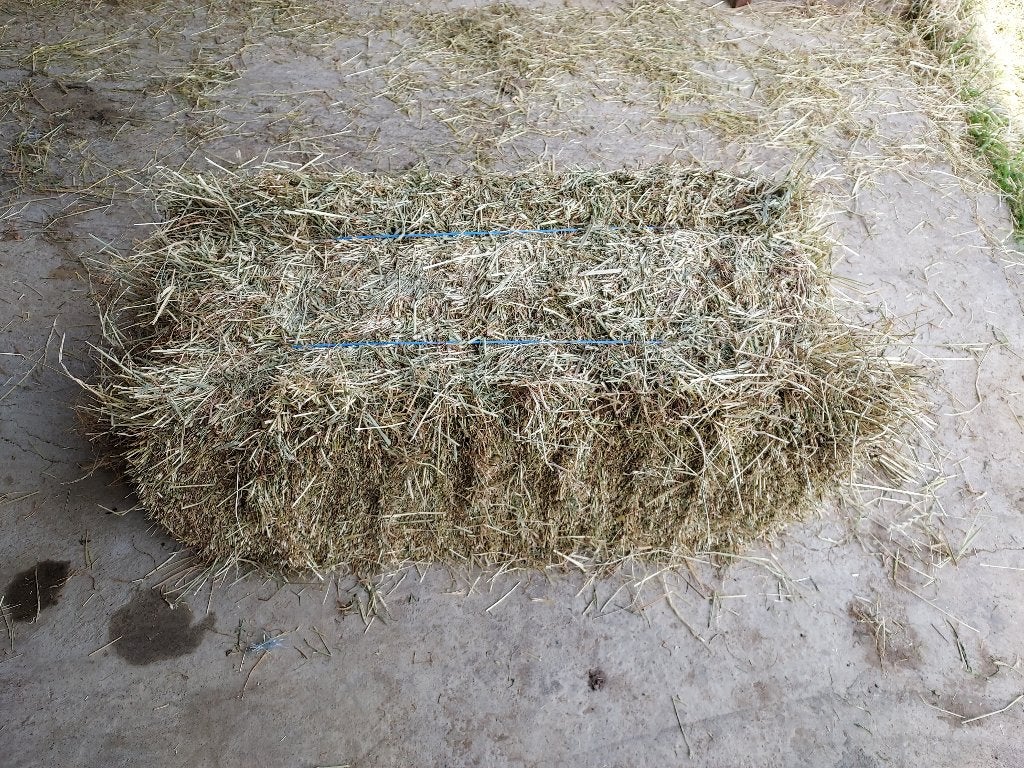 Kleine balen hooi, Dieren en Toebehoren, Dierenvoeding, Ophalen, Vee