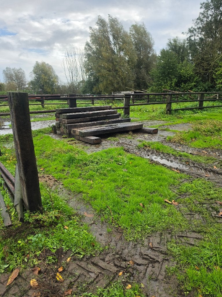 Treinbiels ,biels te koop, Weidegang