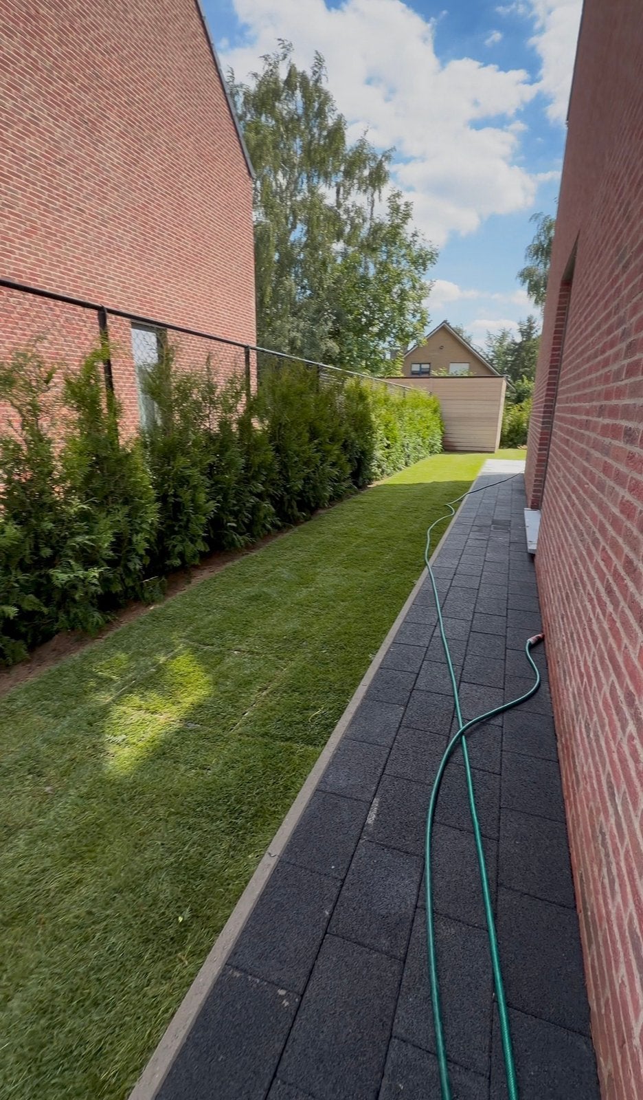 Gras, straatstenen, omheining, Tuin en Terras, Gras en Kunstgras, Nieuw, Gras, Ophalen of Verzenden