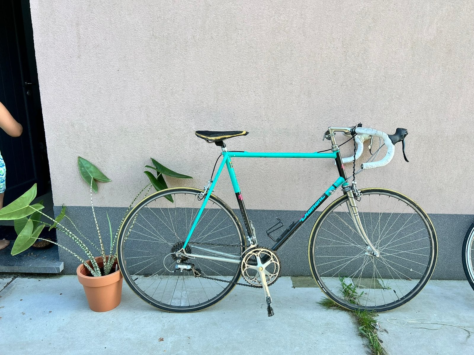 Diamant koersfiets, Enlèvement