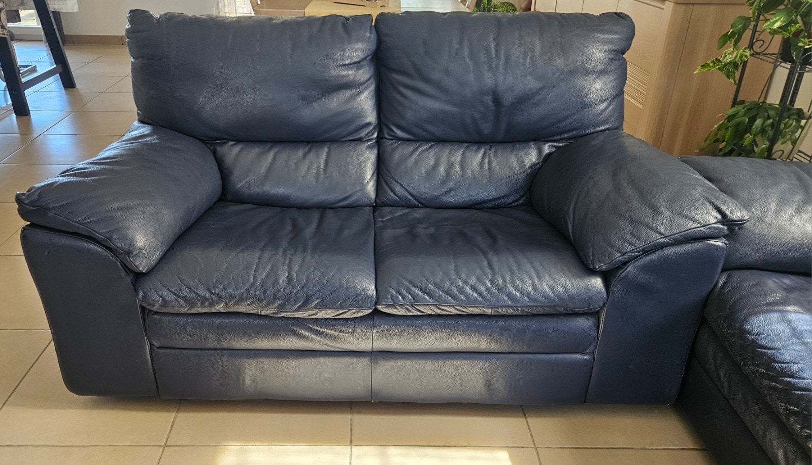 Fauteuil - Canapé - Divan - Salon en cuir de taureau, 100 à 125 cm, 250 à 300 cm, Banc d'angle, Quatre personnes ou plus