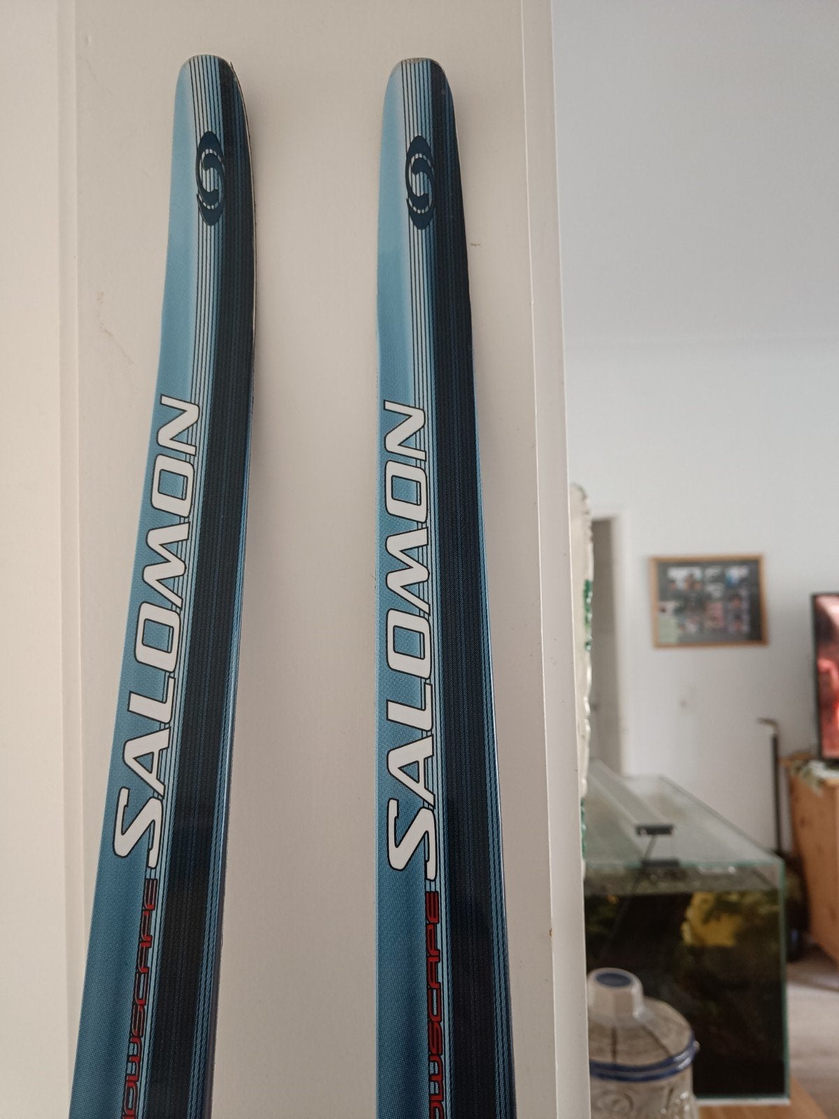 langlauf ski, Sport en Fitness, Ophalen, Ski, Salomon