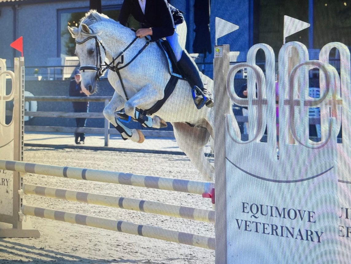 10j D pony, Dieren en Toebehoren