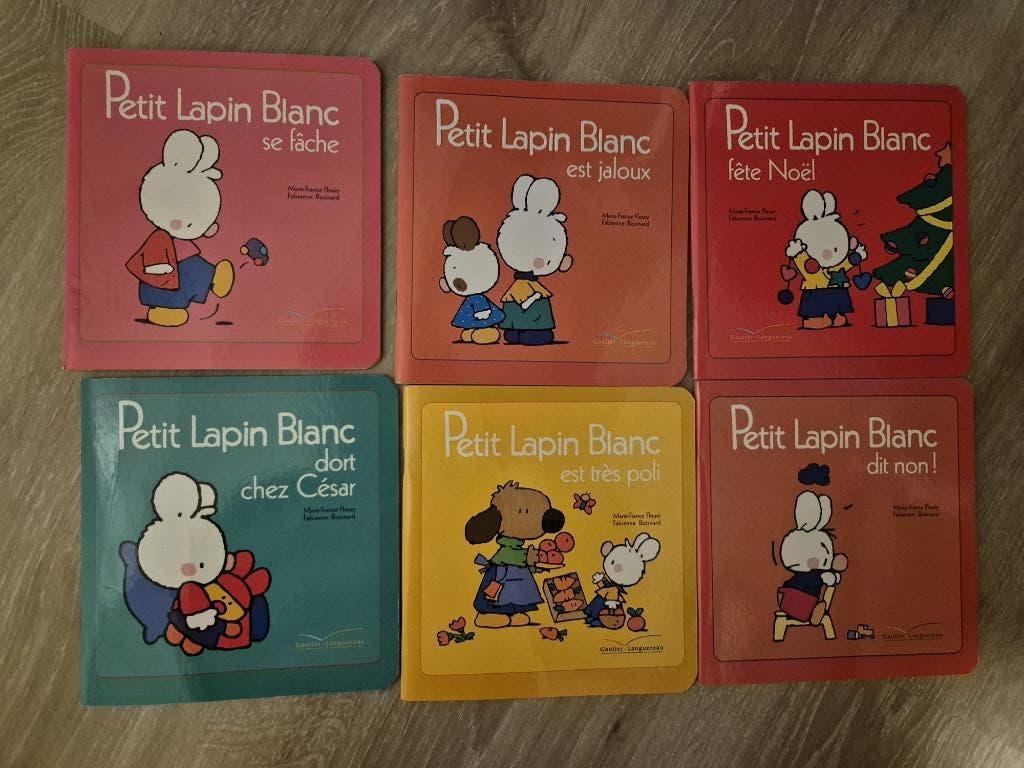 Lot de 6 livres "Petit lapin blanc", 3 tot 4 jaar, Ophalen of Verzenden, Zo goed als nieuw, Floury