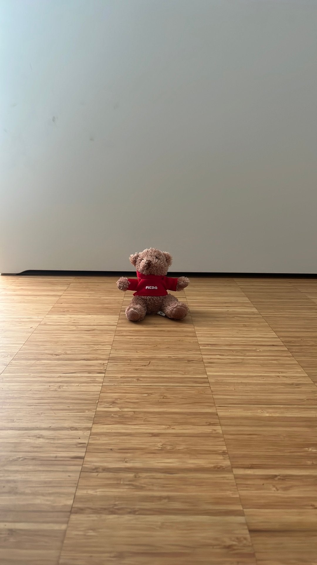 Knuffel, Kinderen en Baby's, Beer, Ophalen of Verzenden, Zo goed als nieuw, Klein (minder dan 20 cm)
