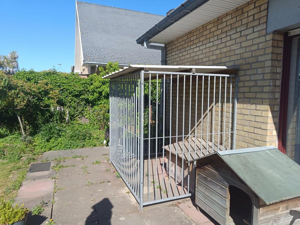 Hondekennel, Animaux & Accessoires, Maisons pour chiens, Comme neuf, Enlèvement, 100 cm ou plus, Chenil chien