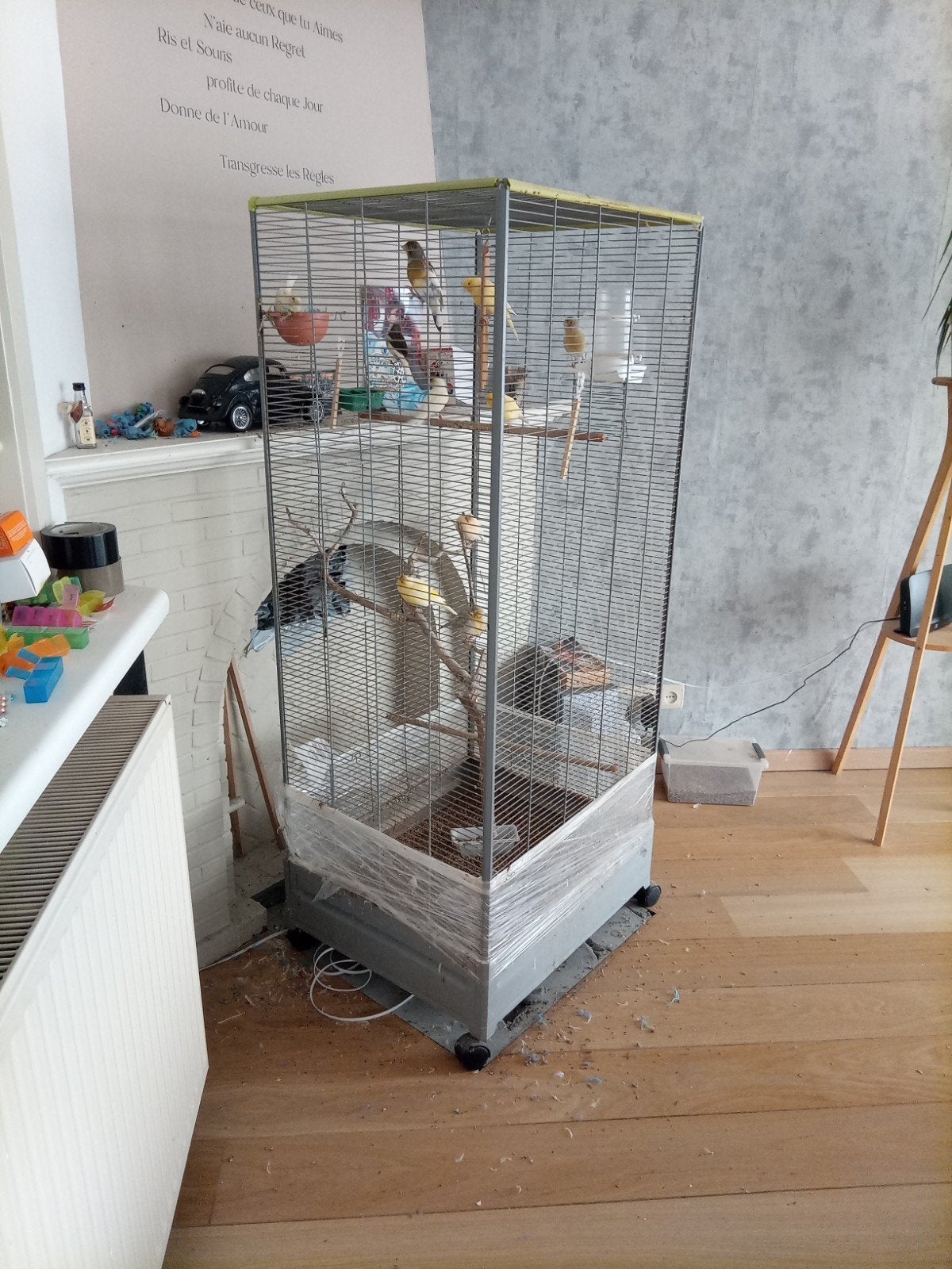 volière plus 9 canaris, Animaux & Accessoires, Enlèvement, Volière