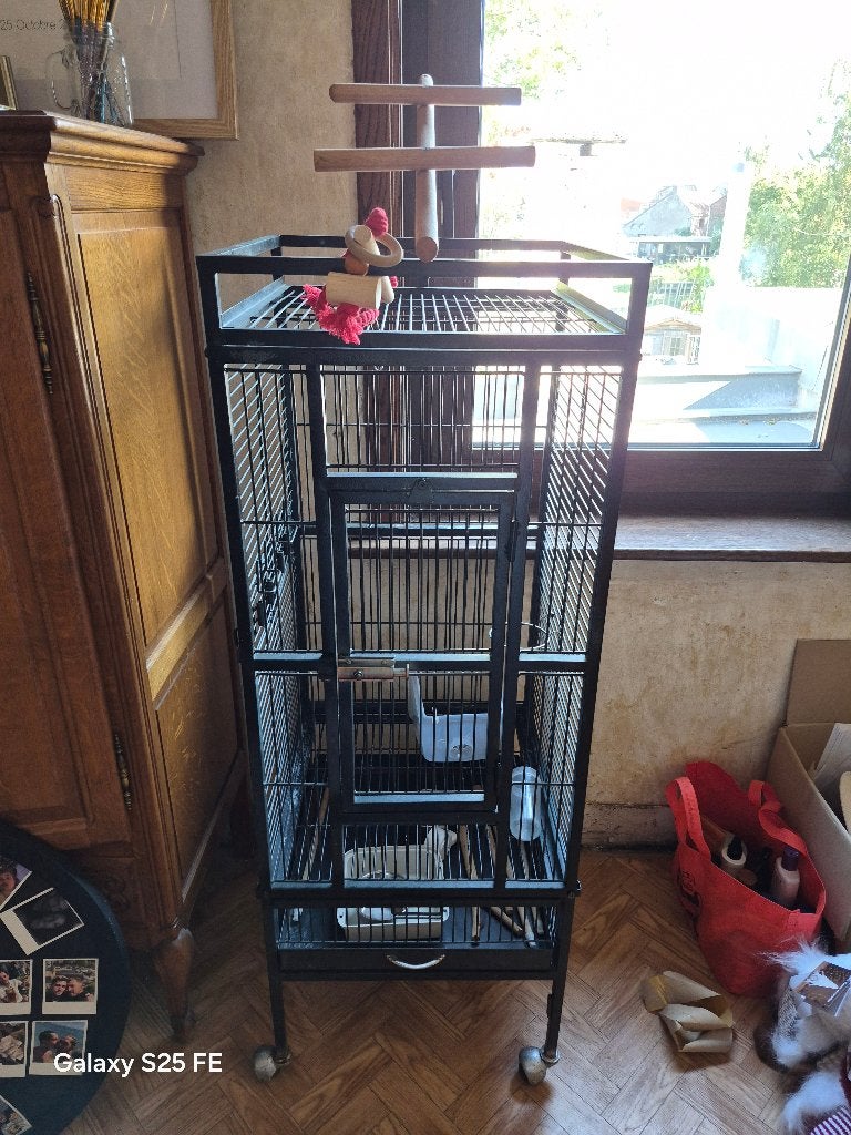 Cage, Enlèvement, Utilisé, Métal, Cage à oiseaux
