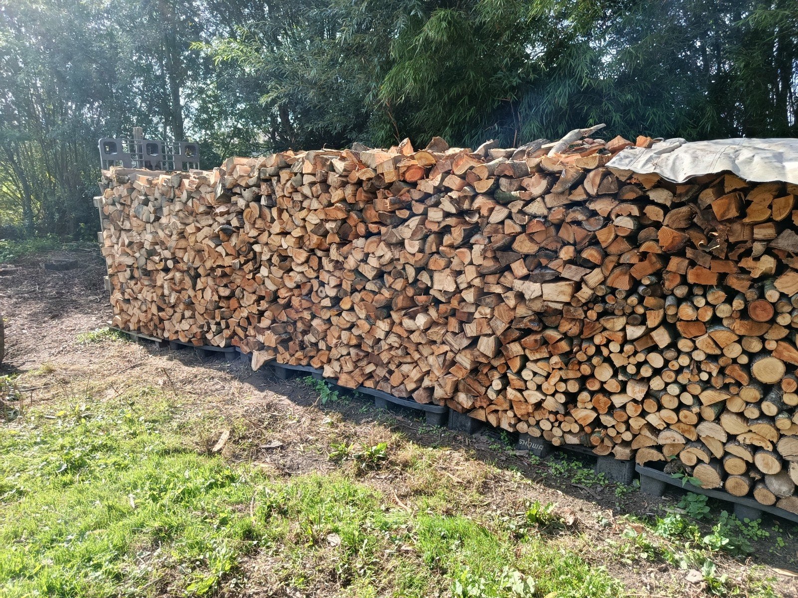 brand hout, Tuin en Terras, 6 m³ of meer, Ophalen, Overige houtsoorten, Blokken