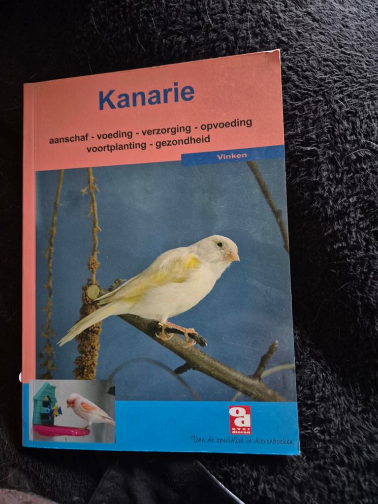 De Kanarie boek, Enlèvement ou Envoi